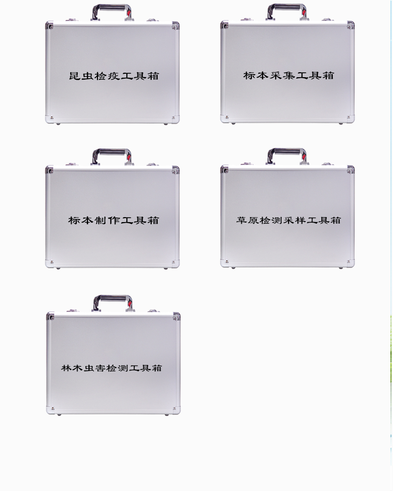 1756285082661561.jpg 采樣箱(植物)_05.jpg